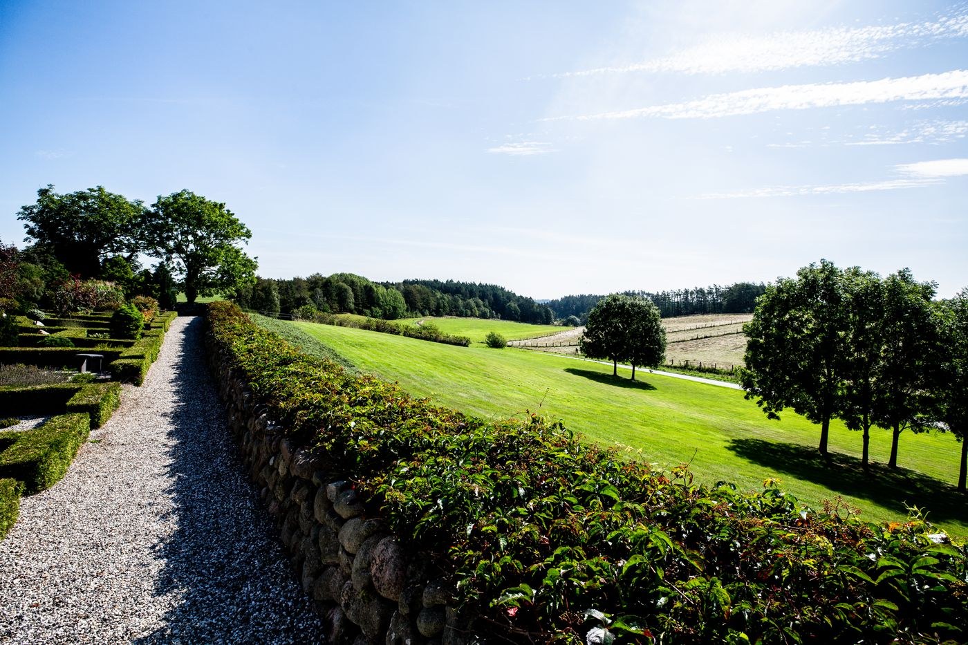 Gartenweg zwischen Hecken und Rasen