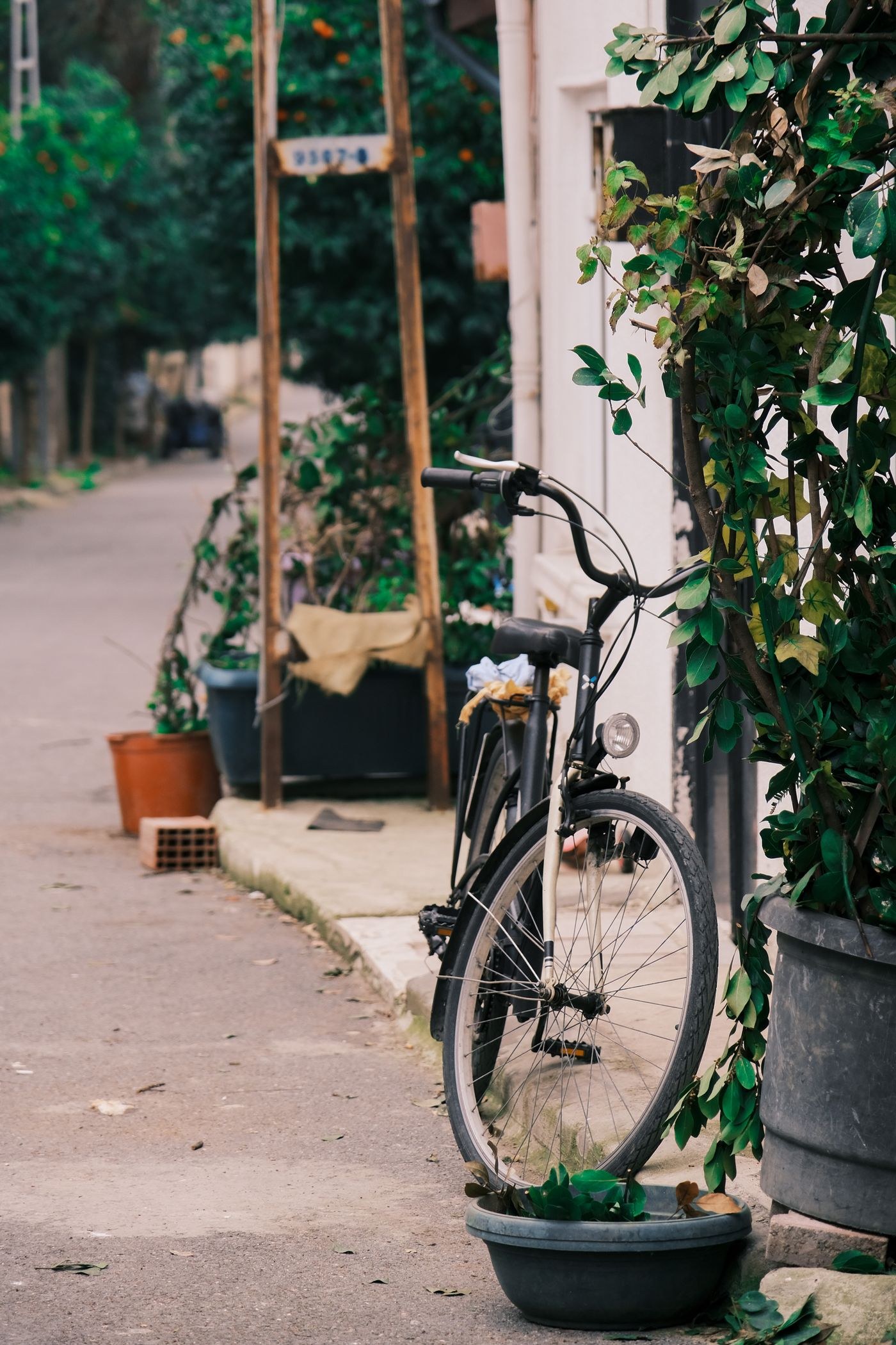 Fahrrad an einer von Pflanzen gesäumten Straße